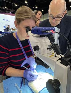 medical professional looking through a microscope
