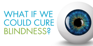 image that says What if we could cure blindness